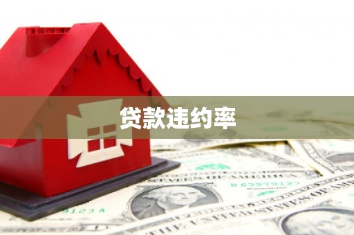 大朗贷款违约率