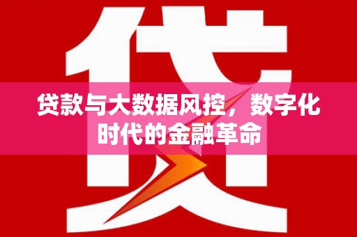 大朗贷款与大数据风控，数字化时代的金融革命