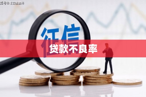 大朗贷款不良率