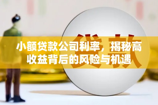 大朗小额贷款公司利率，揭秘高收益背后的风险与机遇