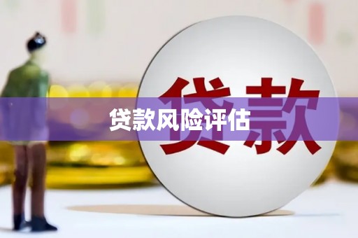 大朗贷款风险评估