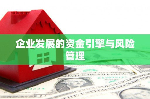 大朗企业发展的资金引擎与风险管理