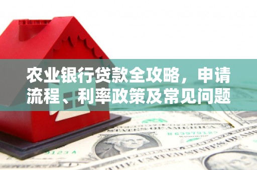 大朗农业银行贷款全攻略，申请流程、利率政策及常见问题解析