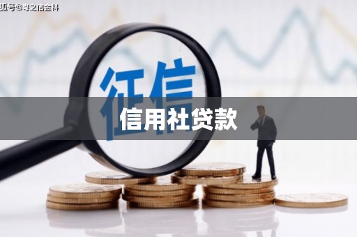 大朗信用社贷款