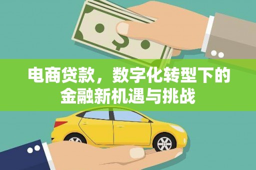 大朗电商贷款，数字化转型下的金融新机遇与挑战
