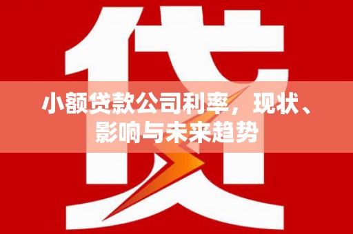 大朗小额贷款公司利率，现状、影响与未来趋势