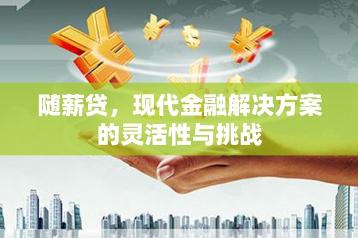 大朗随薪贷，现代金融解决方案的灵活性与挑战