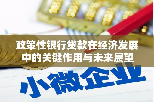 大朗政策性银行贷款在经济发展中的关键作用与未来展望