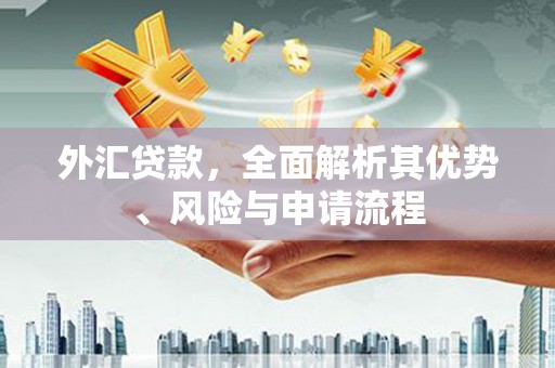 大朗外汇贷款，全面解析其优势、风险与申请流程