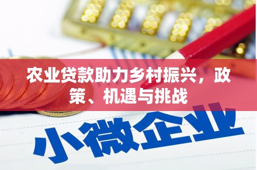 大朗农业贷款助力乡村振兴，政策、机遇与挑战