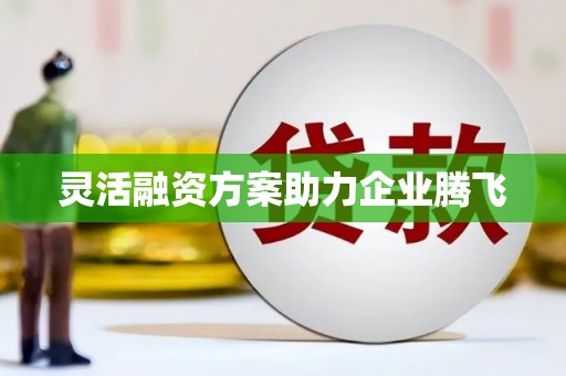 大朗灵活融资方案助力企业腾飞