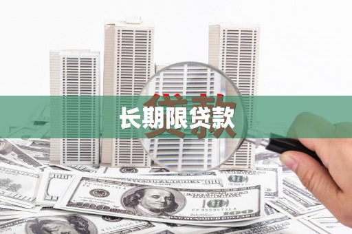 大朗长期限贷款