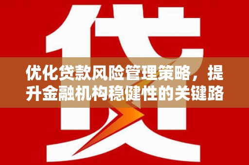 大朗优化贷款风险管理策略，提升金融机构稳健性的关键路径