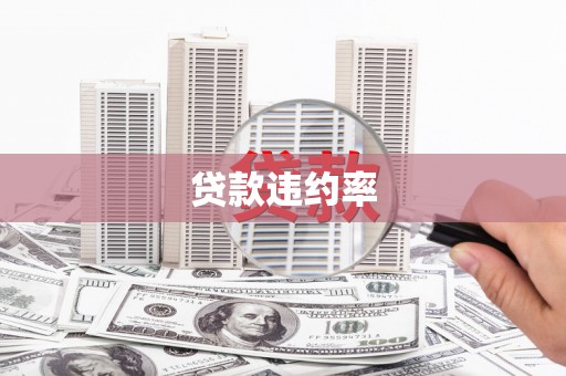 大朗贷款违约率
