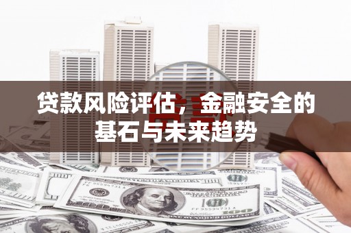 大朗贷款风险评估，金融安全的基石与未来趋势