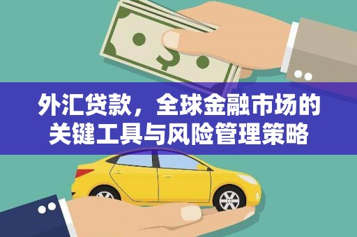 大朗外汇贷款，全球金融市场的关键工具与风险管理策略