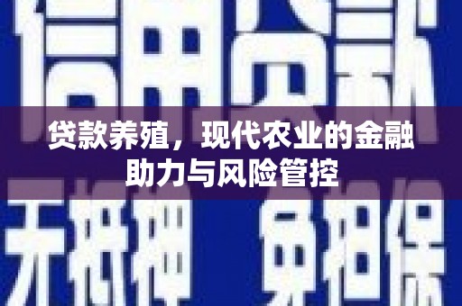 大朗贷款养殖，现代农业的金融助力与风险管控