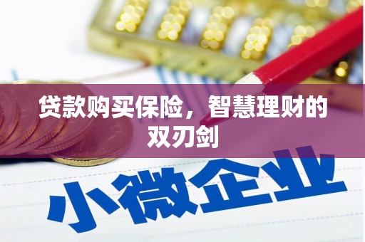 大朗贷款购买保险，智慧理财的双刃剑