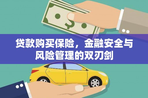 大朗贷款购买保险，金融安全与风险管理的双刃剑