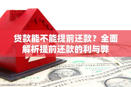 大朗贷款能不能提前还款？全面解析提前还款的利与弊