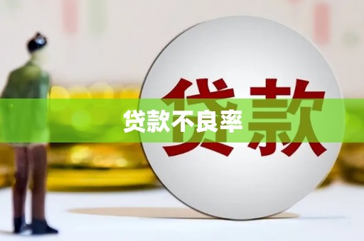 大朗贷款不良率