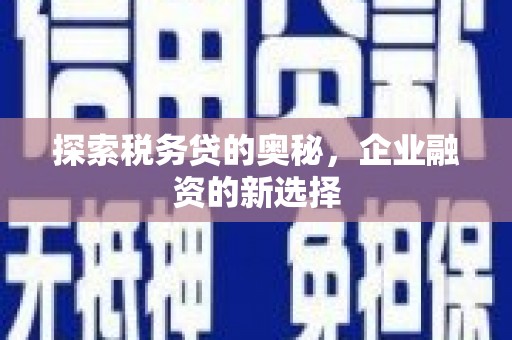 大朗探索税务贷的奥秘，企业融资的新选择