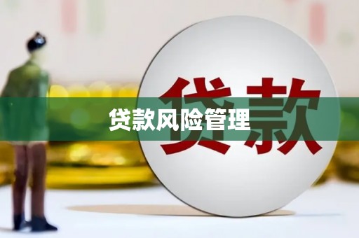 大朗贷款风险管理