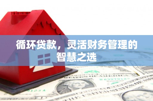 大朗循环贷款，灵活财务管理的智慧之选