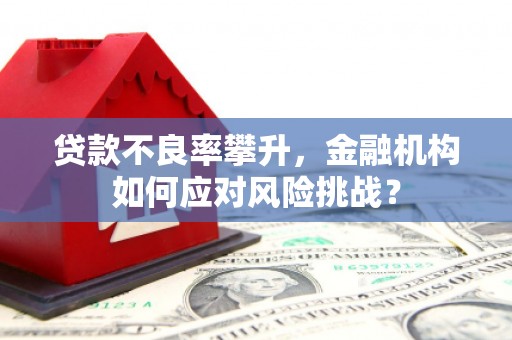 大朗贷款不良率攀升，金融机构如何应对风险挑战？