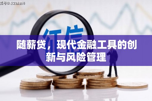大朗随薪贷，现代金融工具的创新与风险管理