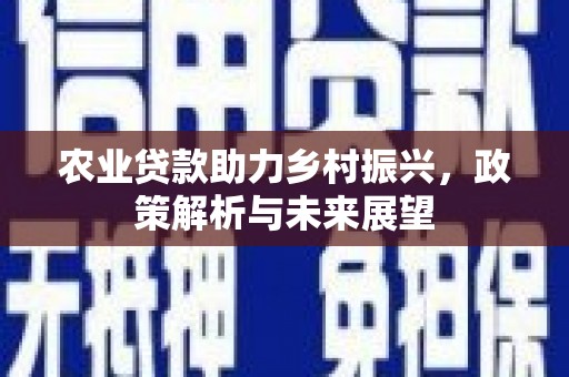 大朗农业贷款助力乡村振兴，政策解析与未来展望