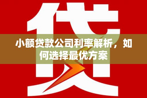 大朗小额贷款公司利率解析，如何选择最优方案