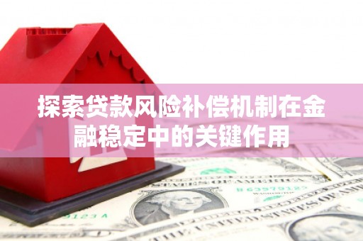 大朗探索贷款风险补偿机制在金融稳定中的关键作用