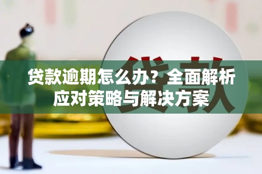 大朗贷款逾期怎么办？全面解析应对策略与解决方案