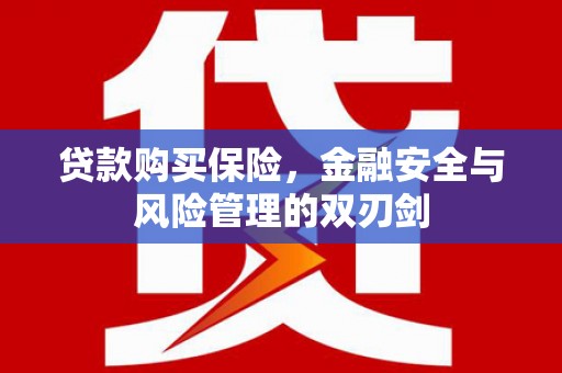 大朗贷款购买保险，金融安全与风险管理的双刃剑