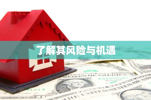 大朗了解其风险与机遇