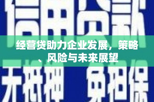 大朗经营贷助力企业发展，策略、风险与未来展望