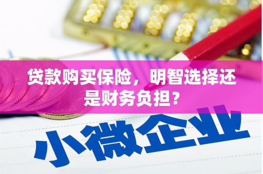 大朗贷款购买保险，明智选择还是财务负担？