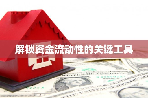 大朗解锁资金流动性的关键工具