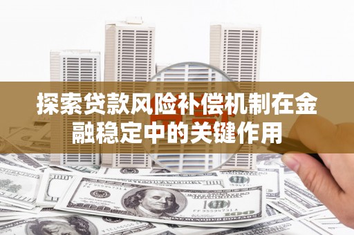 大朗探索贷款风险补偿机制在金融稳定中的关键作用