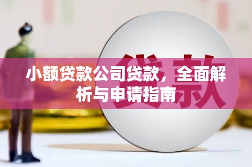 大朗小额贷款公司贷款，全面解析与申请指南