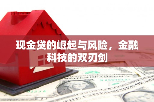 大朗现金贷的崛起与风险，金融科技的双刃剑