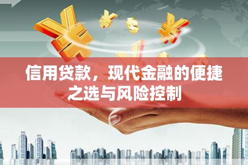 大朗信用贷款，现代金融的便捷之选与风险控制