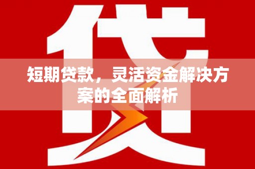 大朗短期贷款，灵活资金解决方案的全面解析
