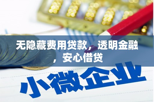 大朗无隐藏费用贷款，透明金融，安心借贷