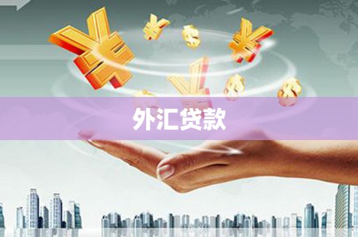 大朗外汇贷款