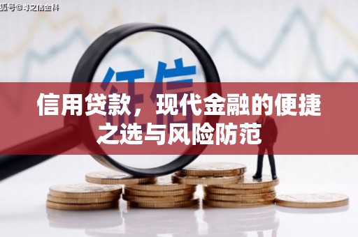大朗信用贷款，现代金融的便捷之选与风险防范