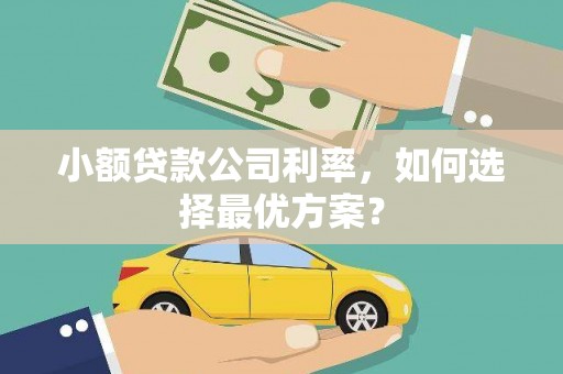 大朗小额贷款公司利率，如何选择最优方案？