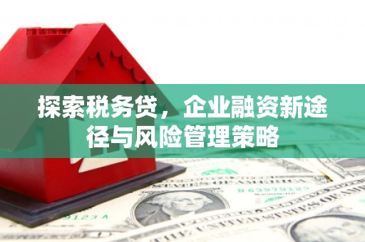 大朗探索税务贷，企业融资新途径与风险管理策略