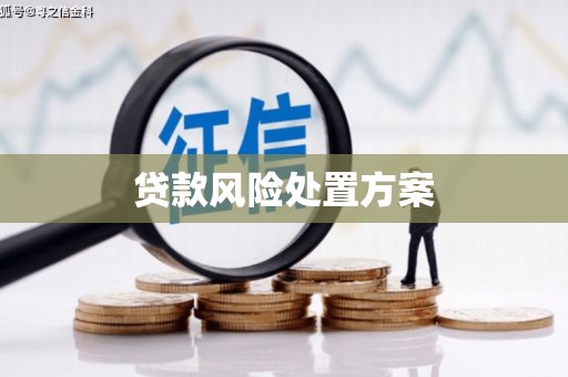 大朗贷款风险处置方案
